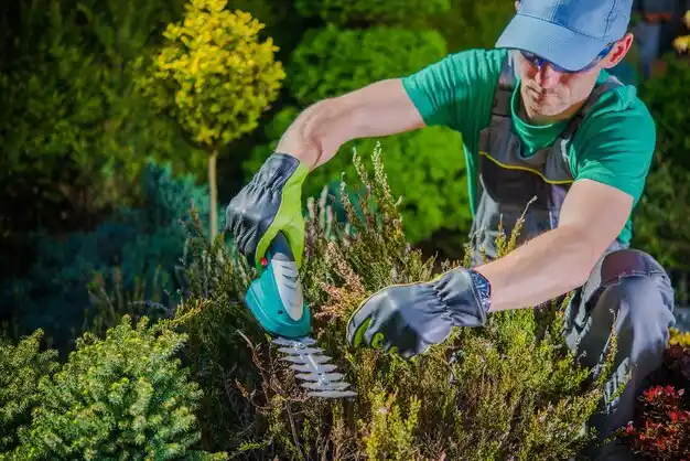 landscaping services Owosso